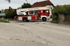 wespennest_einsatz_20240701_002