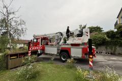 wespennest_einsatz_20240701_003