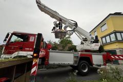 wespennest_einsatz_20240701_004