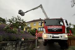 wespennest_einsatz_20240701_005