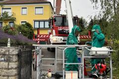 wespennest_einsatz_20240701_008