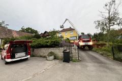 wespennest_einsatz_20240701_010