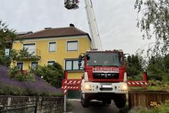 wespennest_einsatz_20240701_012